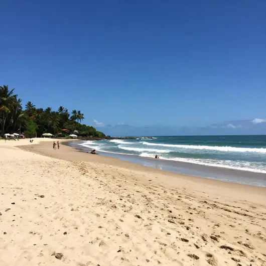 Descubra as Belezas da Praia da Pitangueira Descubra as Belezas da Praia da Pitangueira