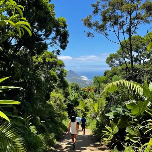 Guia de Parques e Trilhas em Guarujá: 6 Atrações Imperdíveis